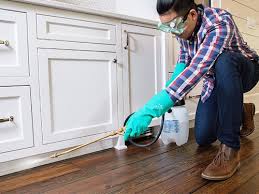 Best Real Estate Pest Inspections  in Tton, IL